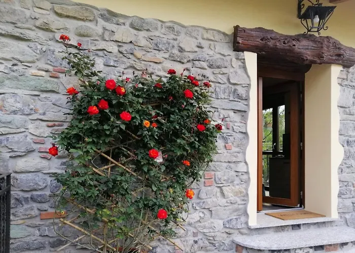 Apartmán Rose