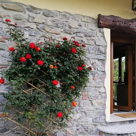 Apartman Rose